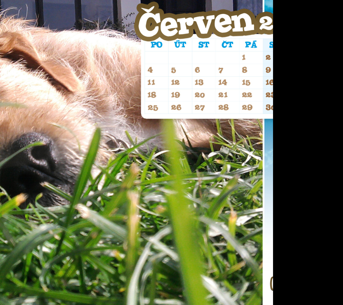 Tapeta hafici_cz___cerven_2012