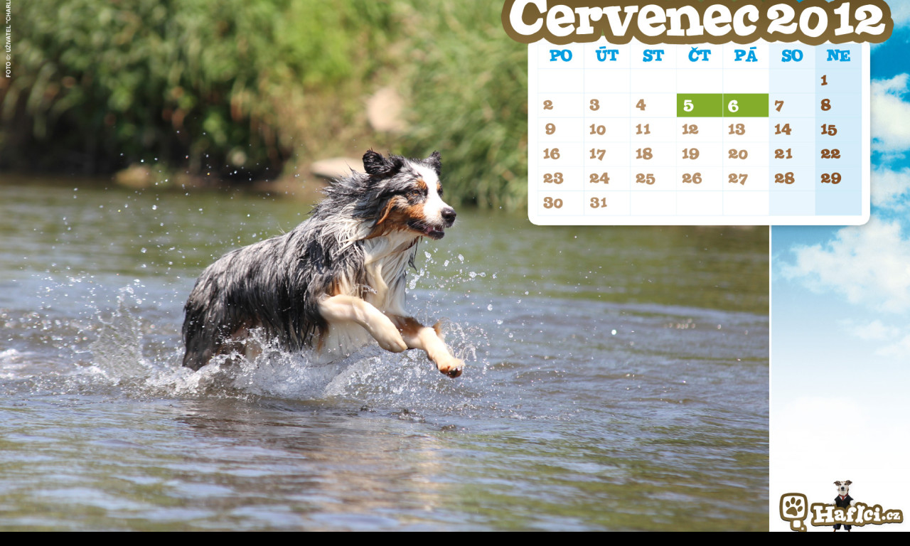 Tapeta hafici_cz___cervenec_2012