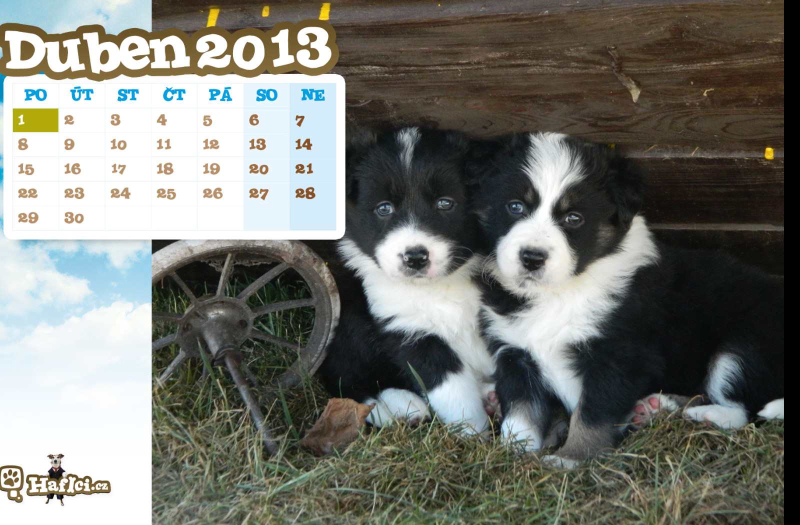 Tapeta hafici_cz___duben_2013