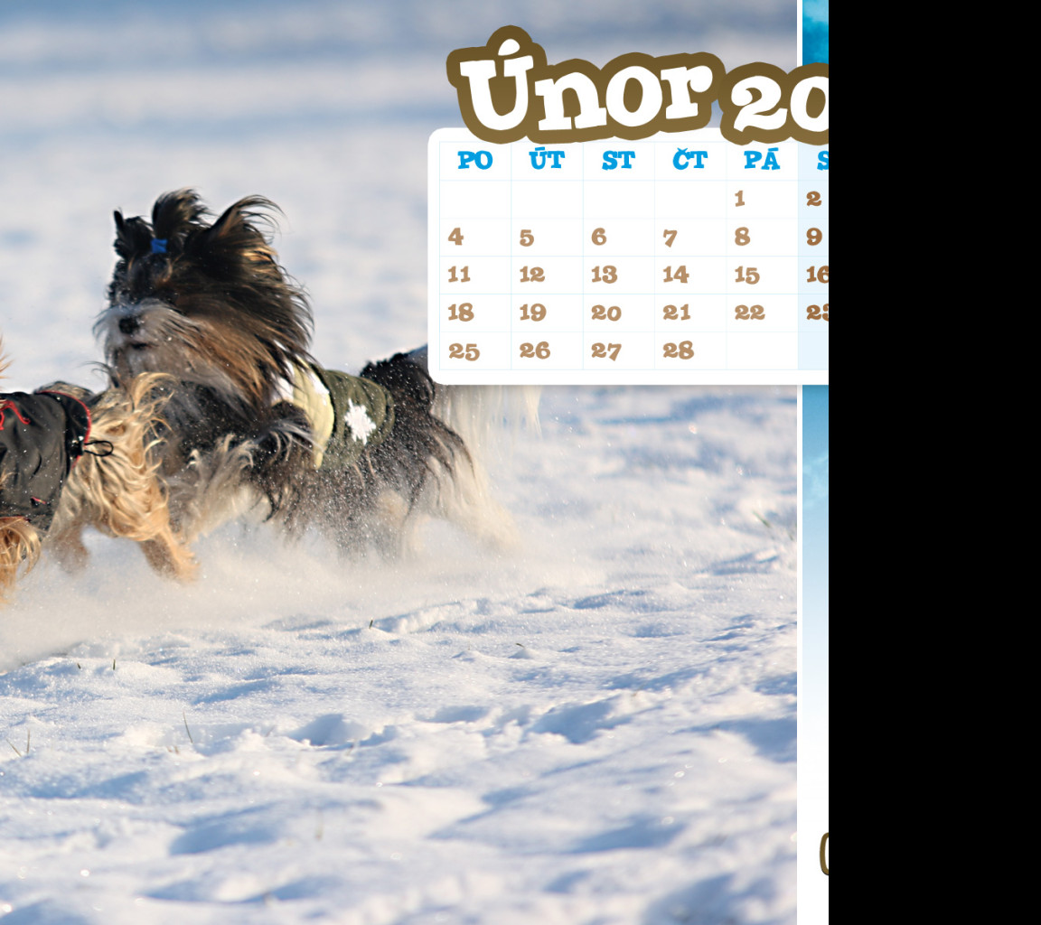 Tapeta hafici_cz___unor_2013