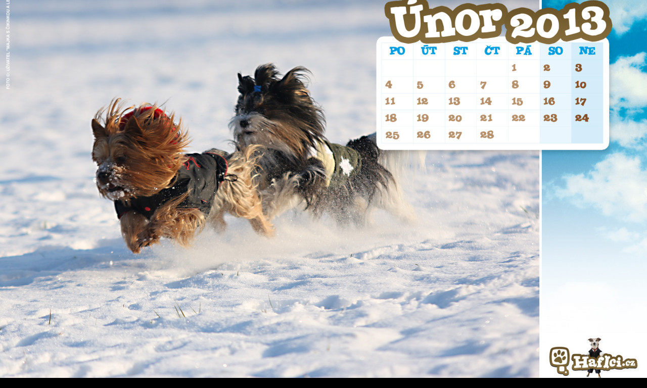 Tapeta hafici_cz___unor_2013