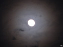 Tapeta Halo Moon 2