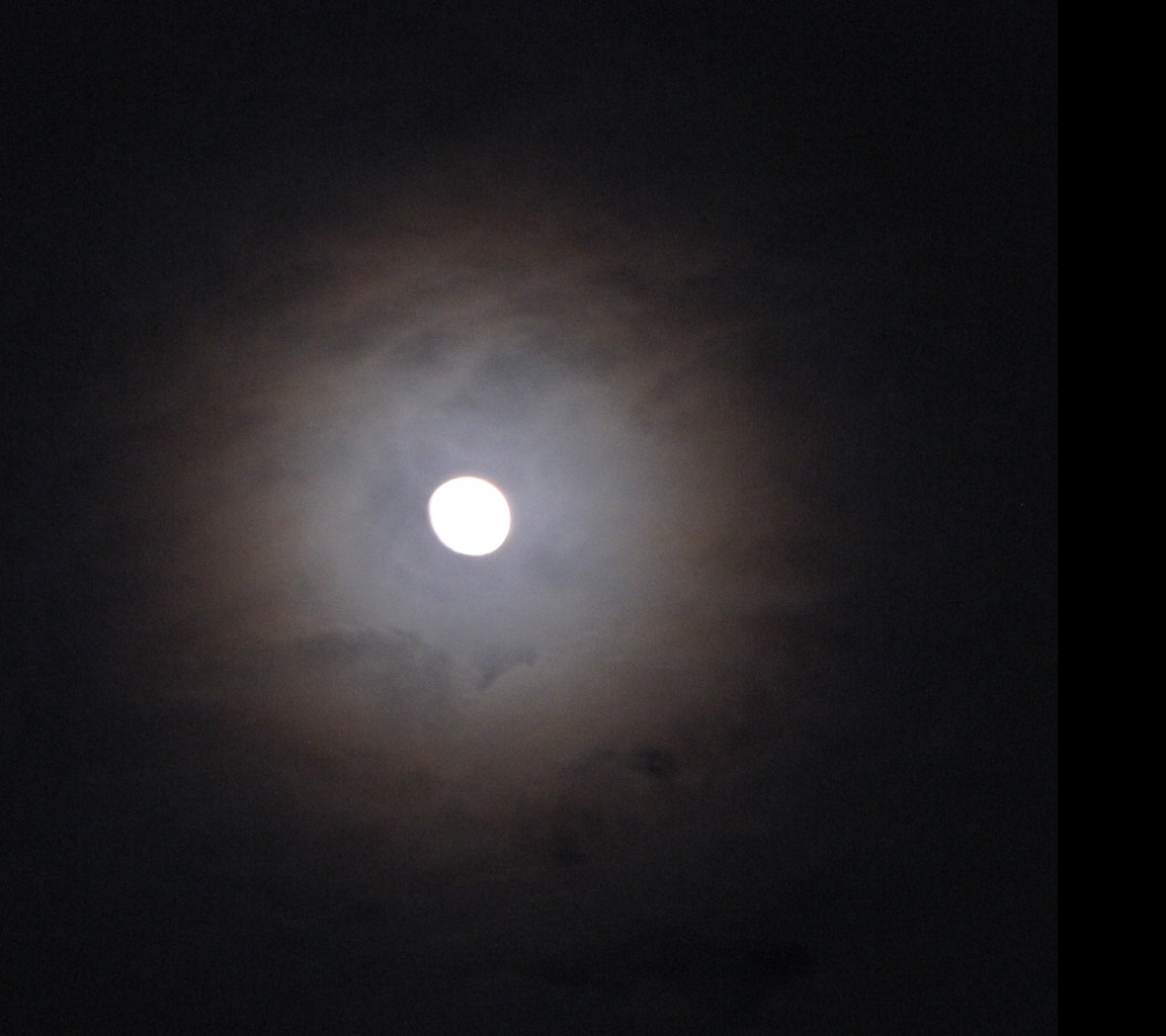 Tapeta halo_moon_3