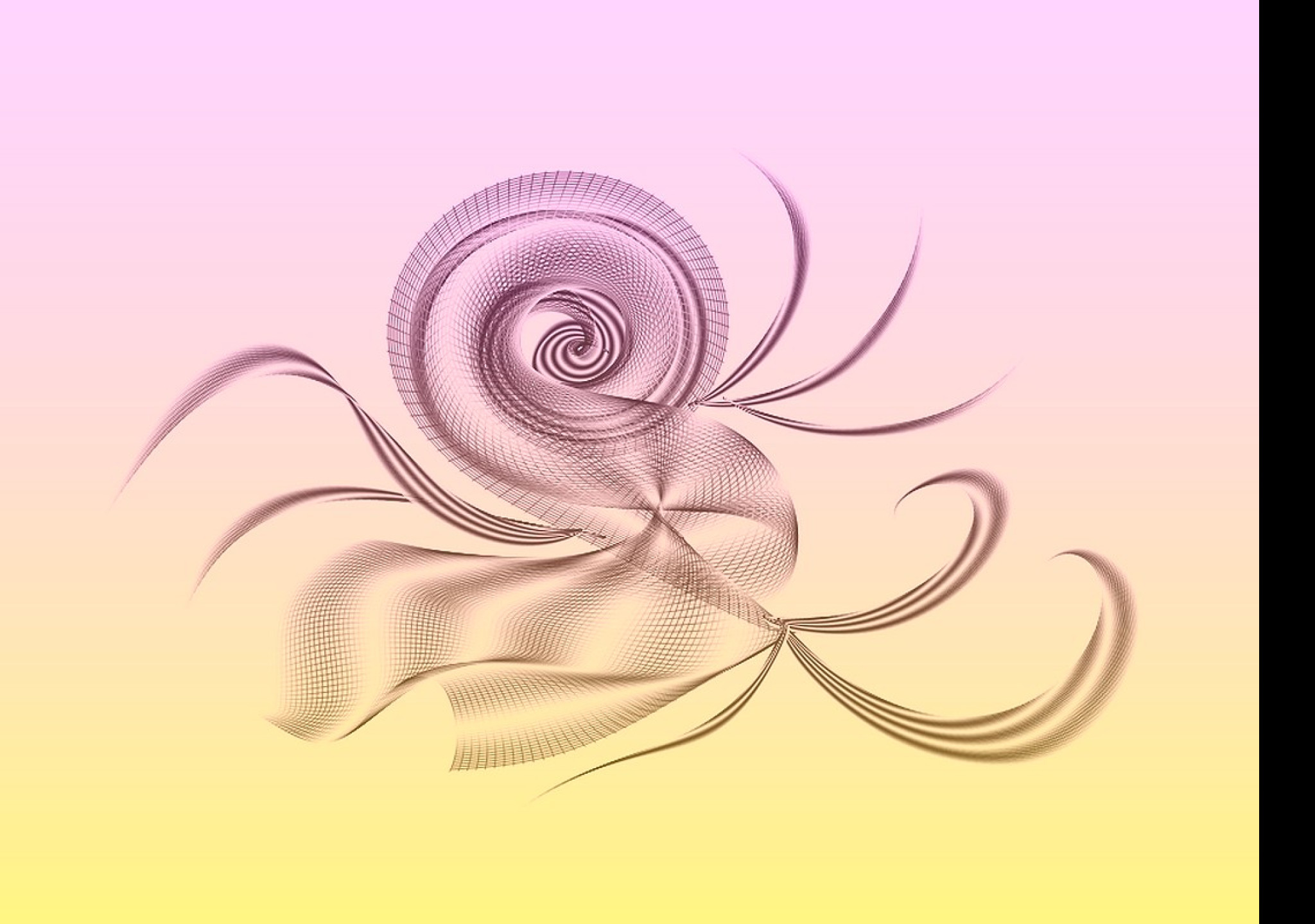 Tapeta happy_bird