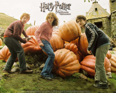 Tapeta: Harry Potter And The Prisoner of Azkaban