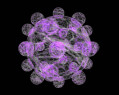 Tapeta Herpes cell