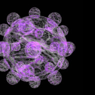 Tapeta herpes_cell