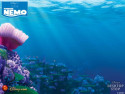 Tapeta Hled se nemo 3