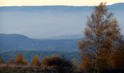 Tapeta: Podzimn krajina