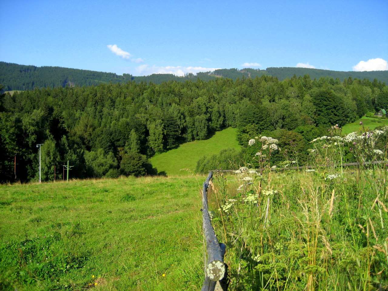 Tapeta hojsova_straz