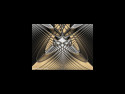 Tapeta Housefly