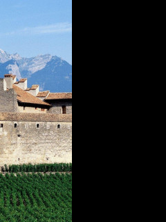 Tapeta hrad_aigle__svycarsko