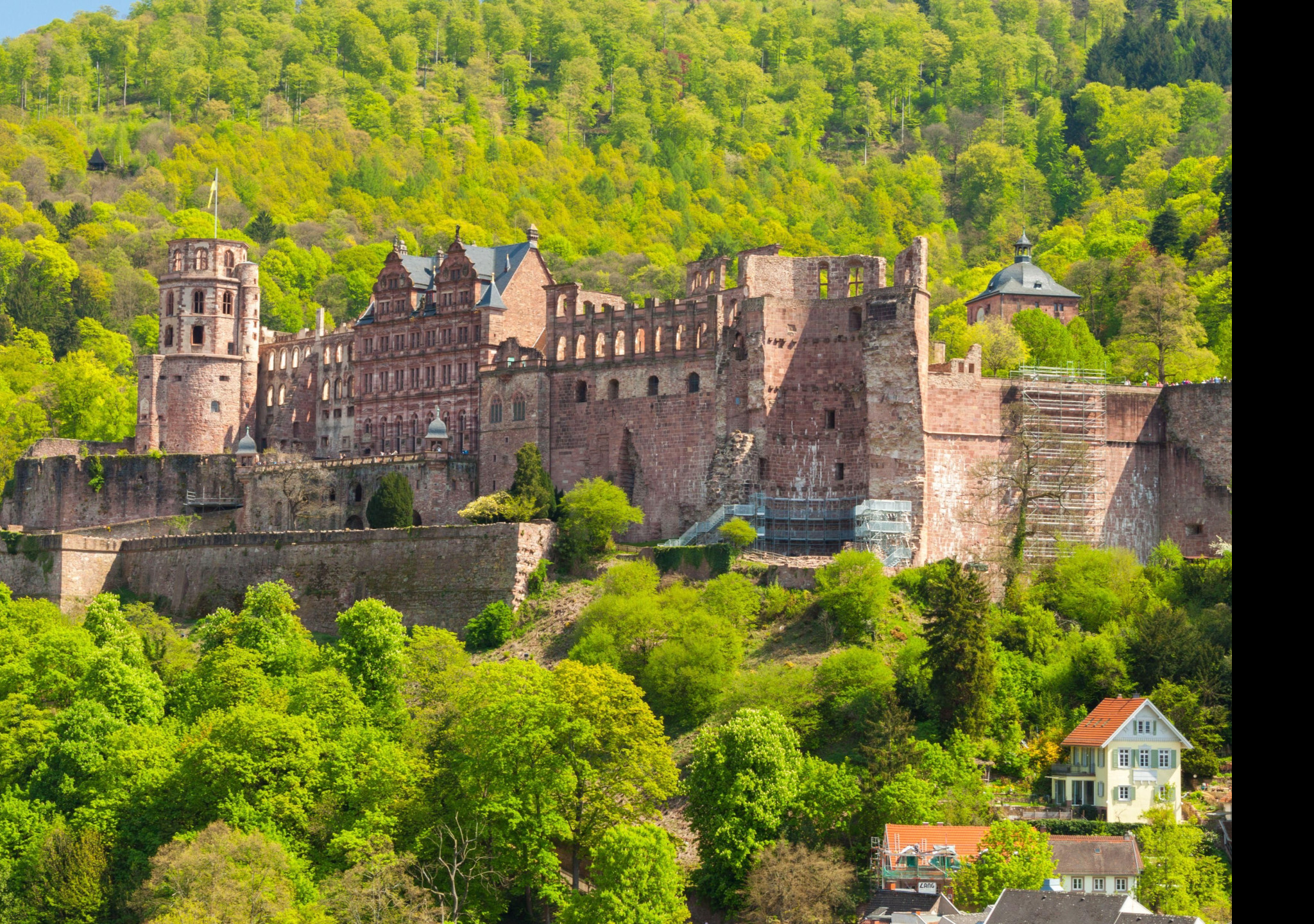 Tapeta hrad_heidelberg__nemecko