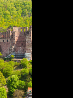 Tapeta hrad_heidelberg__nemecko