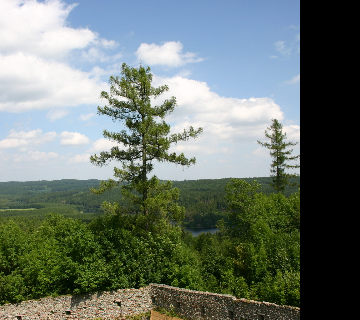 Tapeta hrad_landstejn