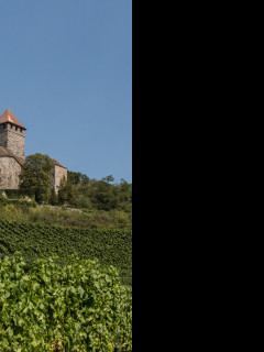 Tapeta hrad_lichtenberg