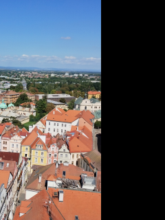 Tapeta hradec_kralove_z_bile_veze