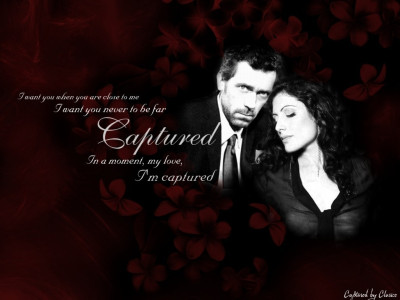 Tapeta: huddy