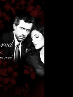 Tapeta huddy