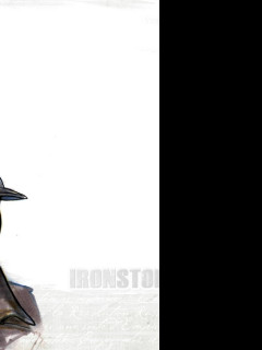 Tapeta ironstorm4