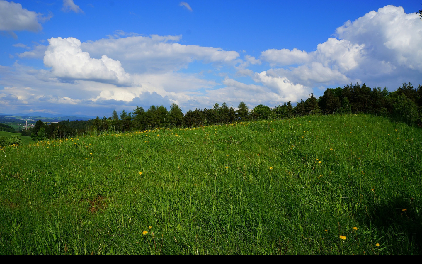 Tapeta jarni_krajina