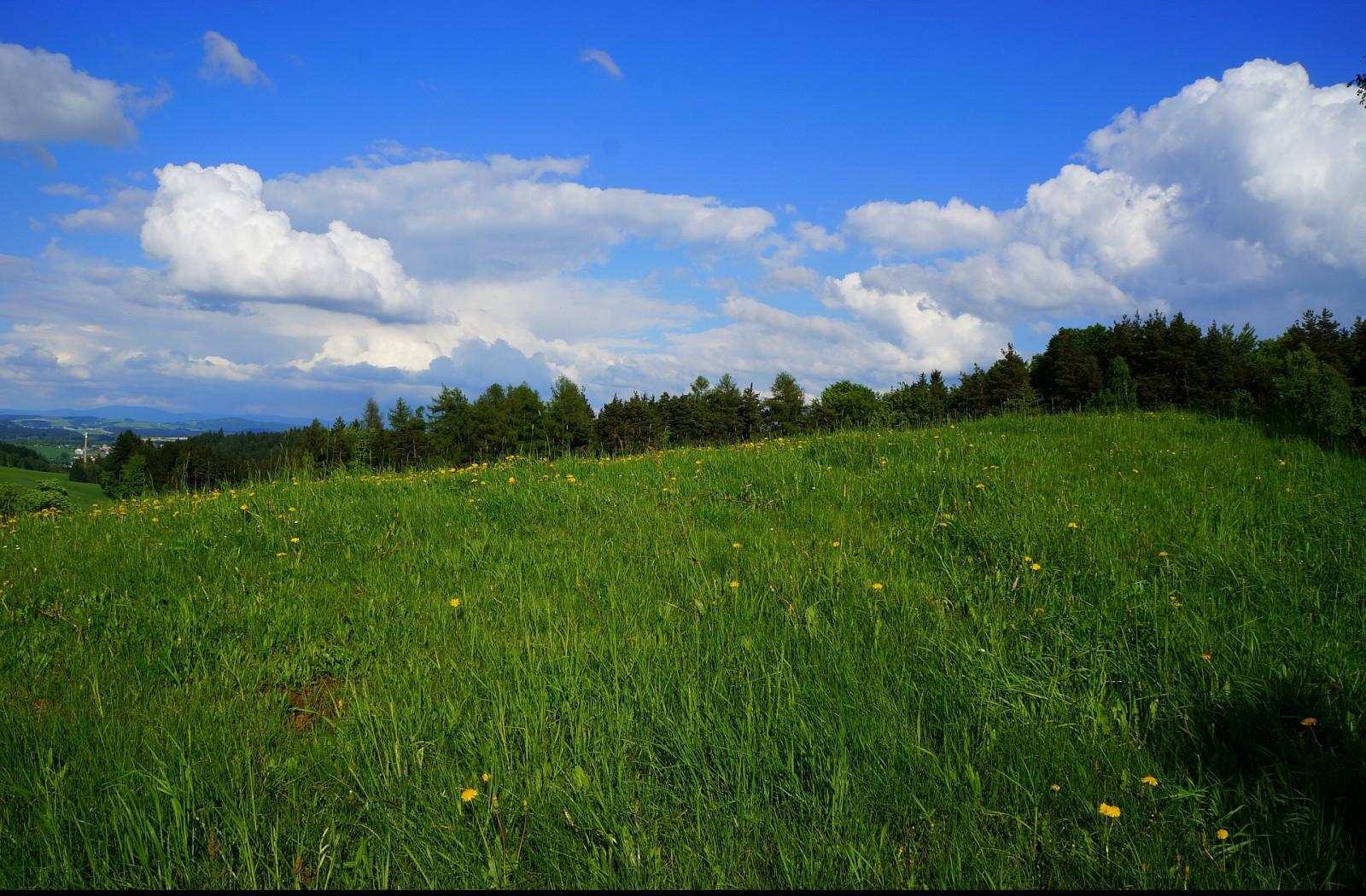 Tapeta jarni_krajina