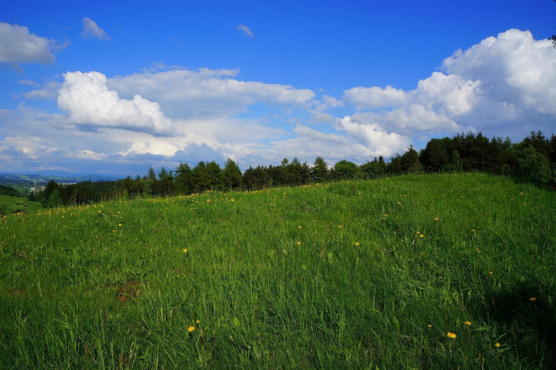 Tapeta jarni_krajina