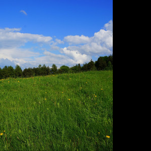 Tapeta jarni_krajina