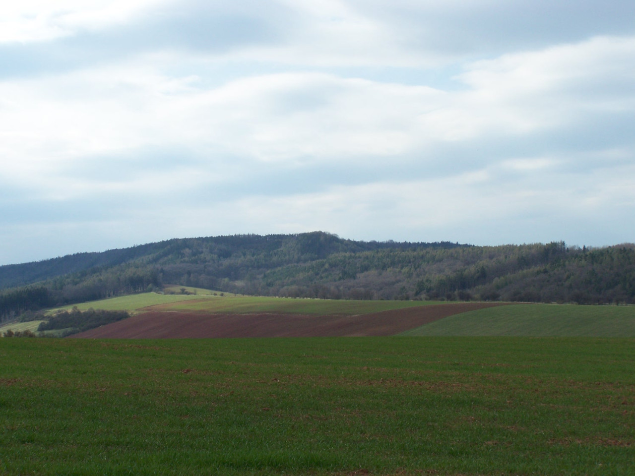 Tapeta jarni_krajina_u_konetop