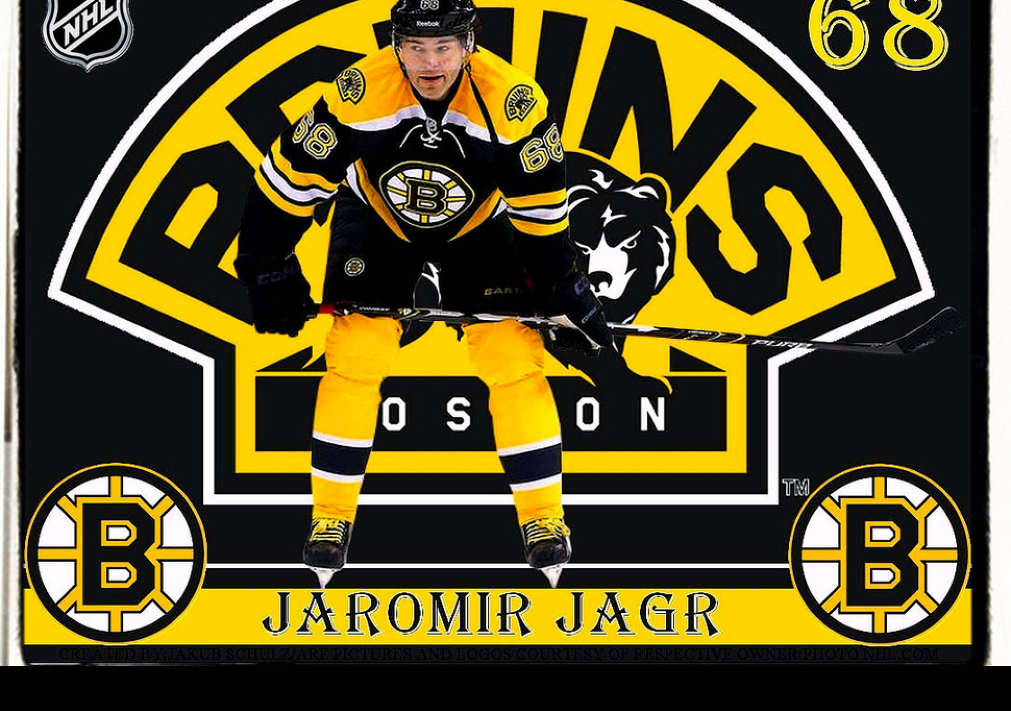 Tapeta jaromir_jagr___bb