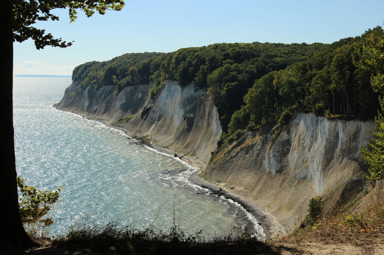 Tapeta jasmund