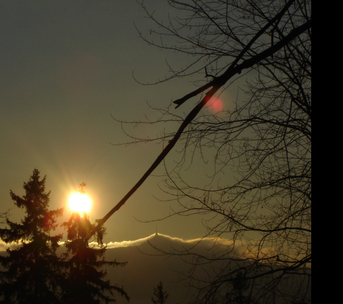 Tapeta jested_od_joshe