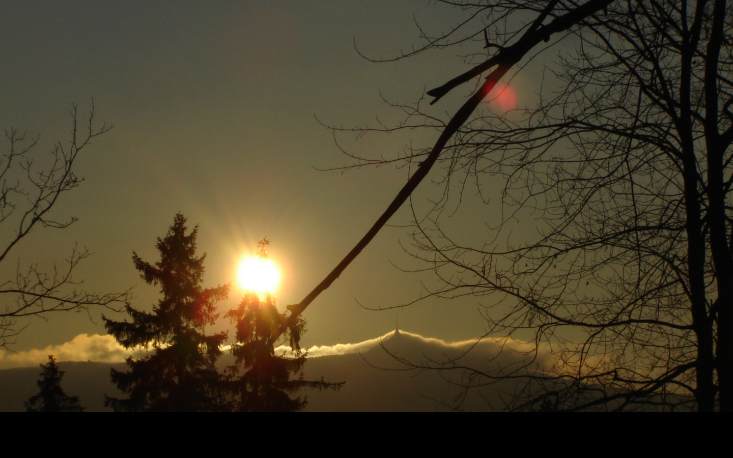 Tapeta jested_od_joshe