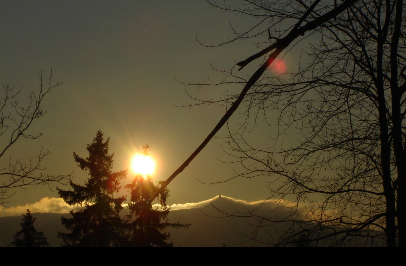 Tapeta jested_od_joshe