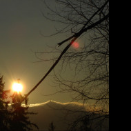 Tapeta jested_od_joshe