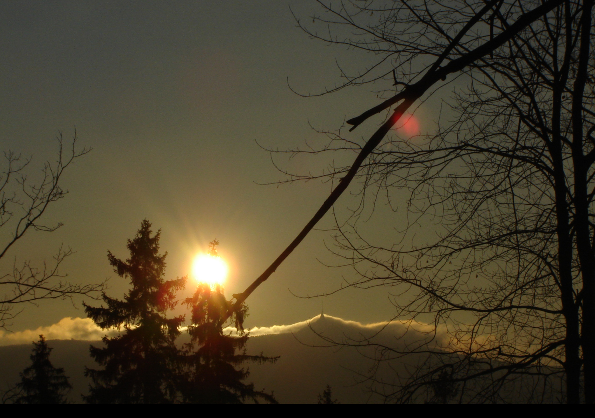 Tapeta jested_od_joshe