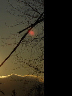 Tapeta jested_od_joshe