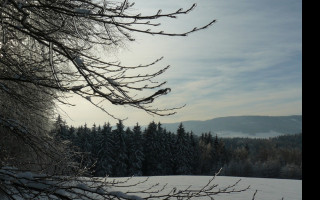 Tapeta jestedsky_hreben