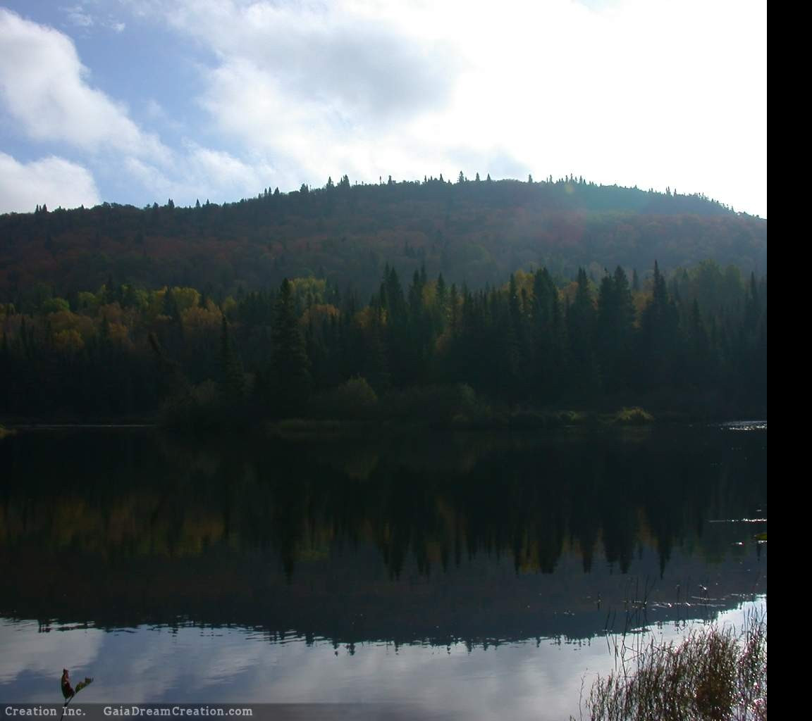 Tapeta jezero4