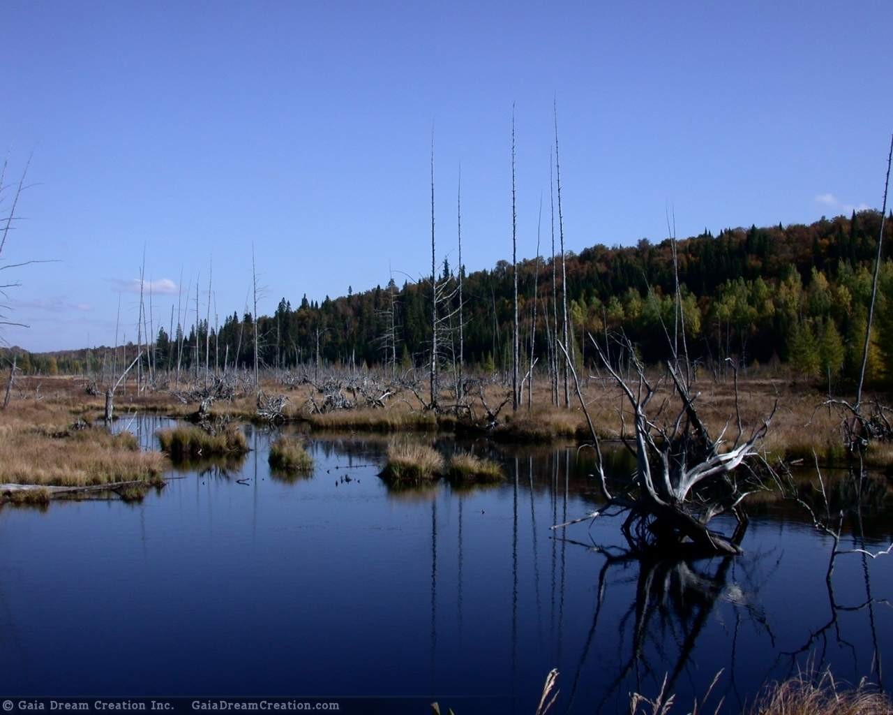 Tapeta jezero5