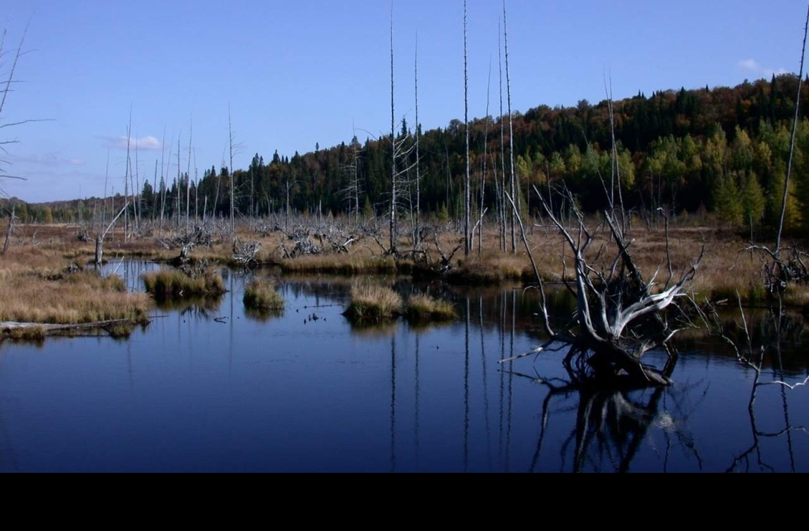 Tapeta jezero5