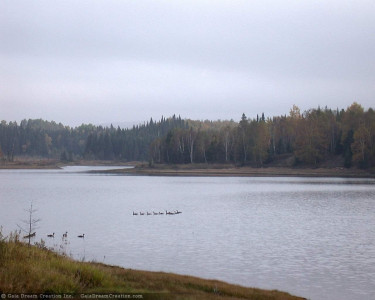 Tapeta: Jezero 6