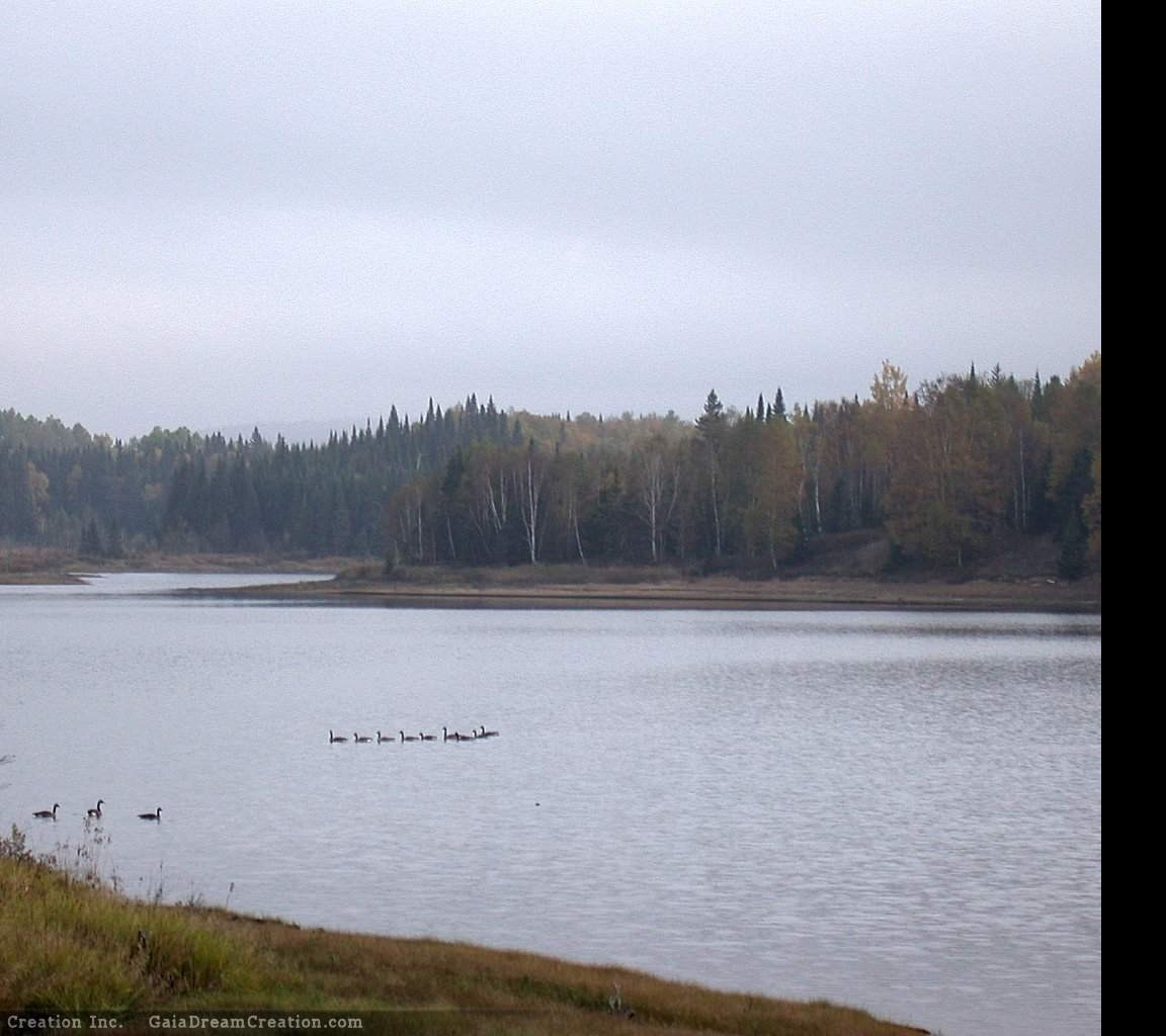 Tapeta jezero6