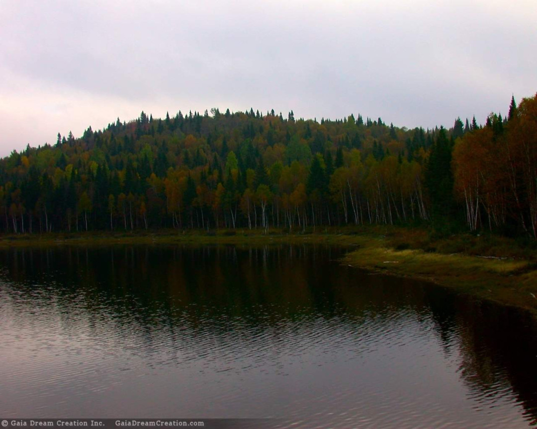 Tapeta jezero8