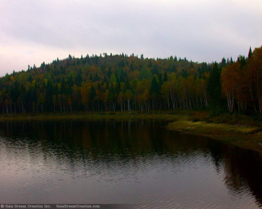 Tapeta: Jezero 8