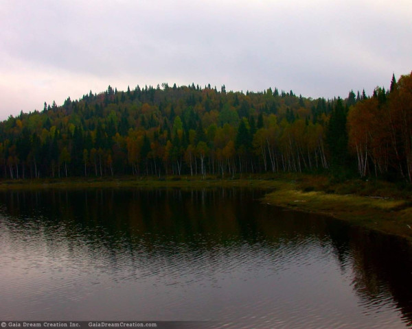 Tapeta jezero8