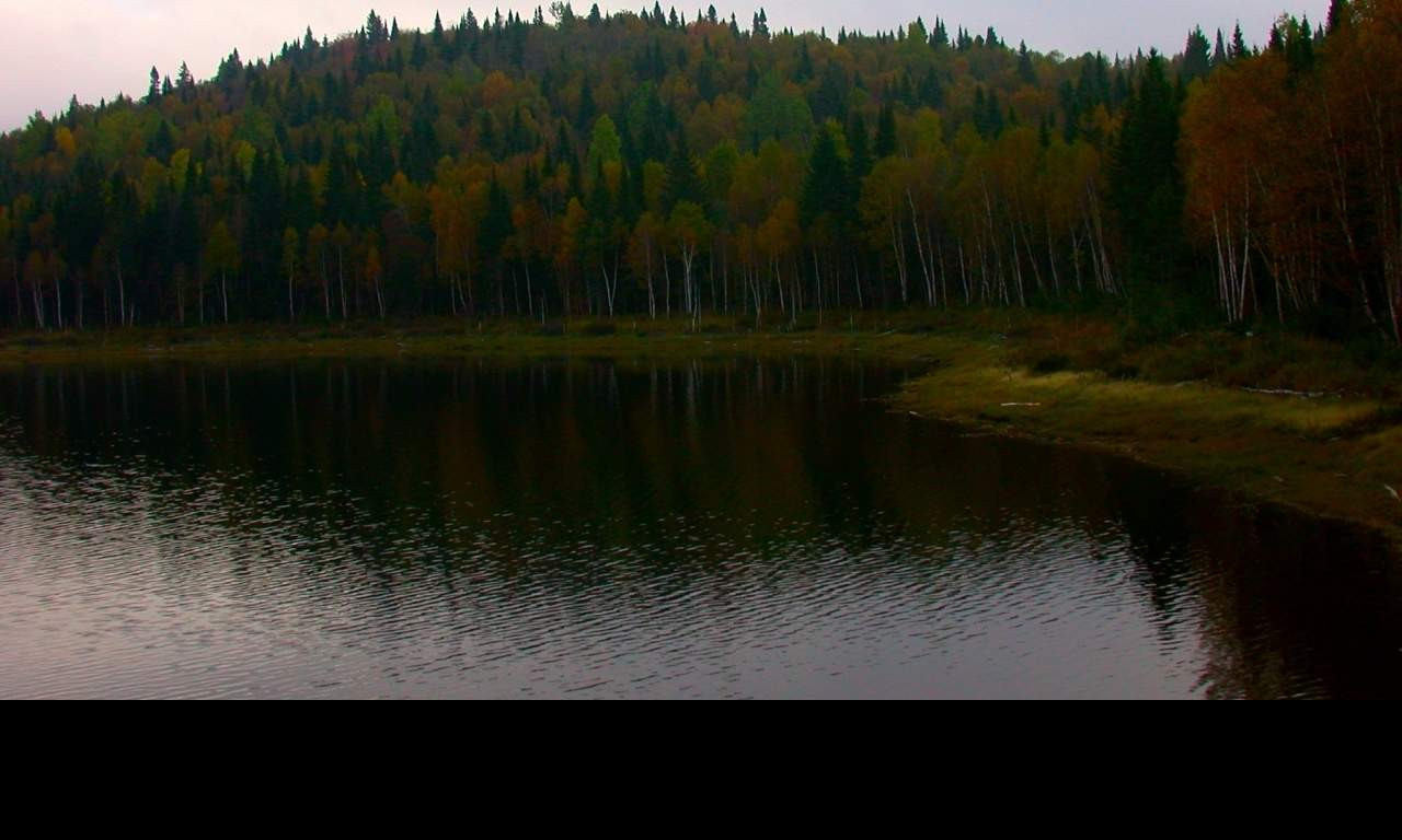 Tapeta jezero8