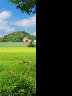 Tapeta jicin_zebin