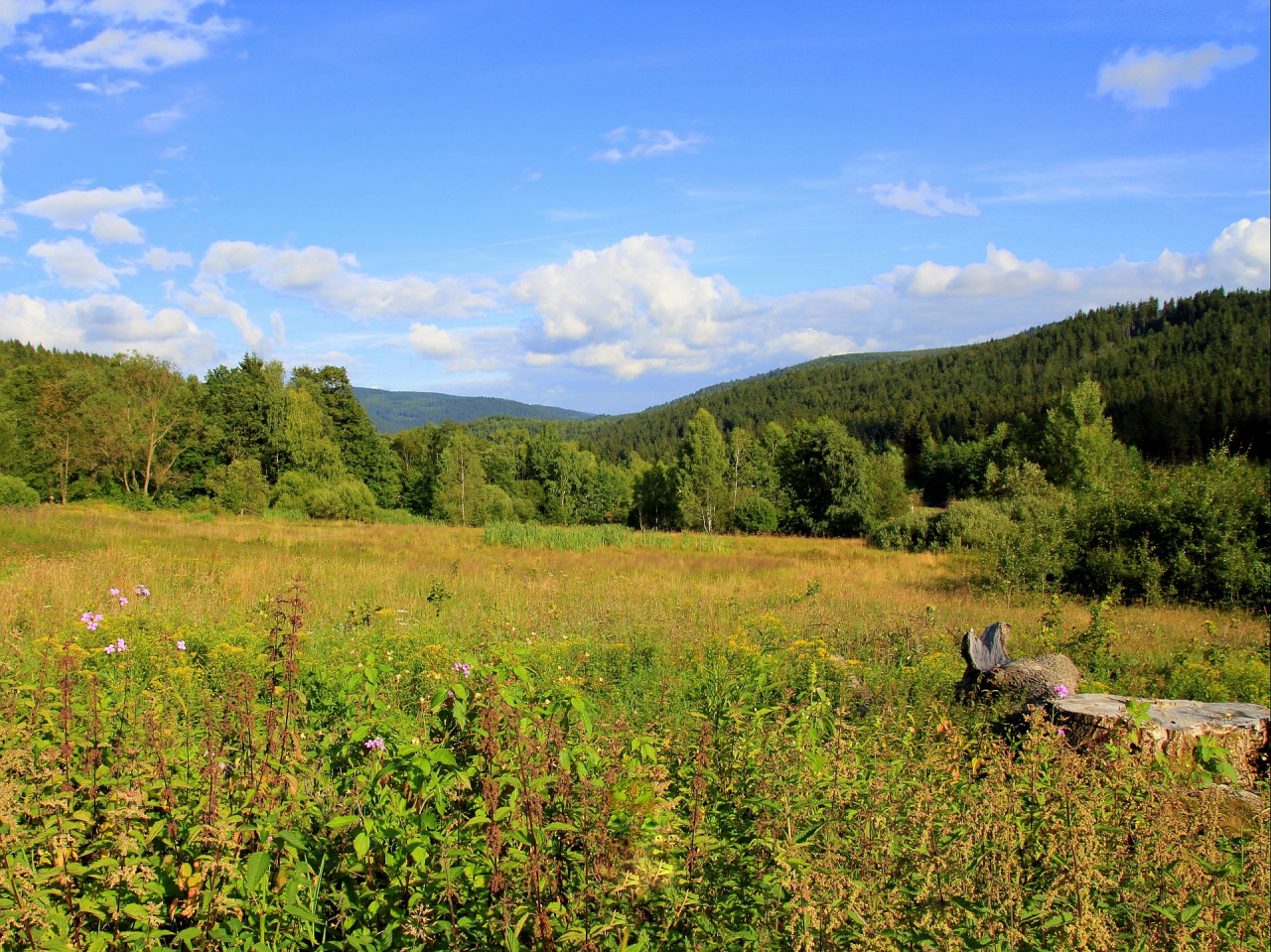 Tapeta jizerky_horni_polubny