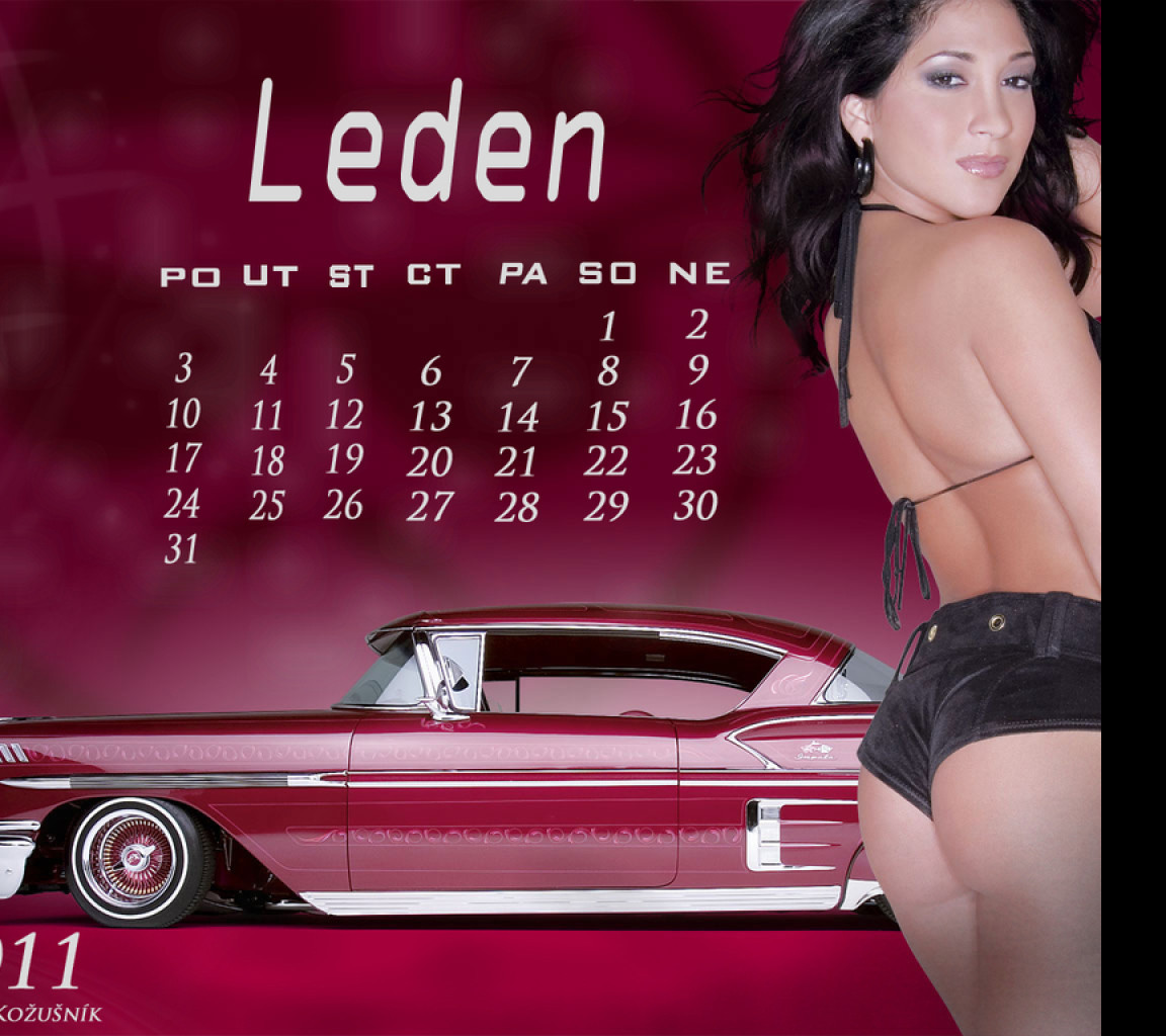 Tapeta kalendar_leden_2011